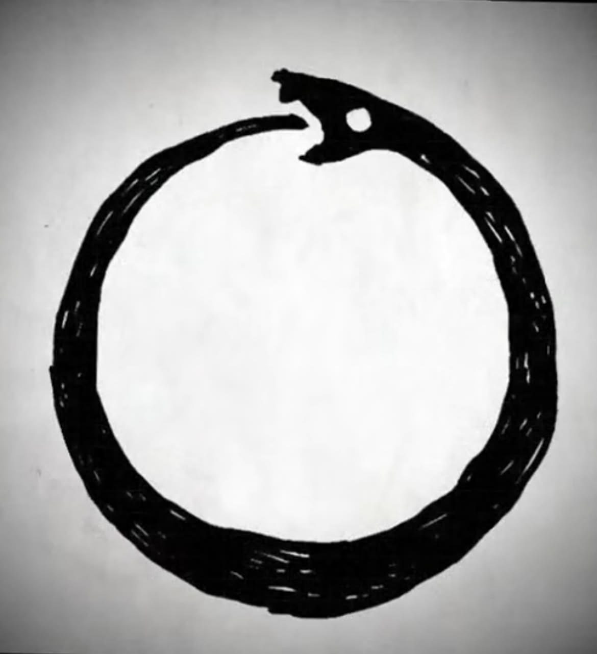 Ouroboros: a snake biting its own tail