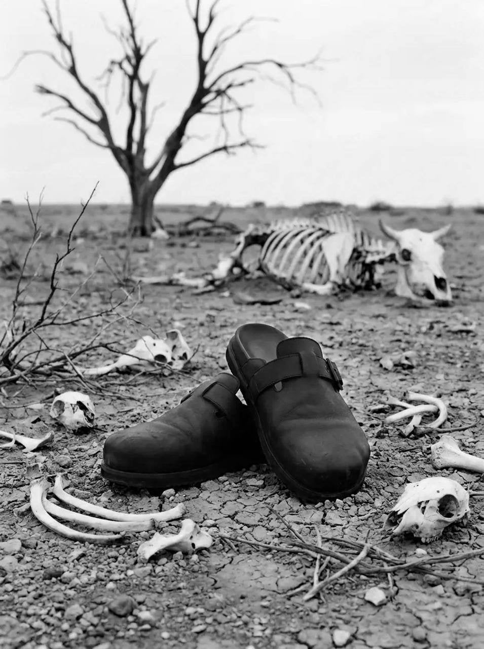 Lapti shoes
